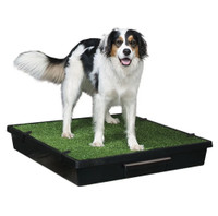 PetSafe Pet Loo Portable Indoor/Outdoor Dog Potty