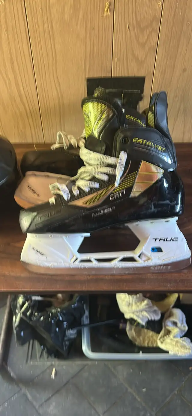  Ice-skating lessons for beginner And intermediate level. 509912672340561920