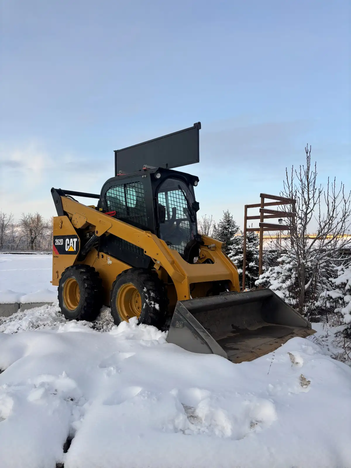 2017 Caterpillar 262D