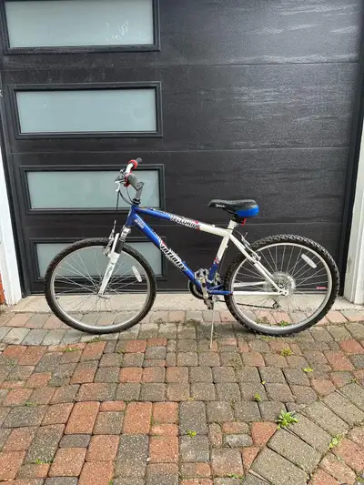 Telluride Infinity Bike in white and blue. Used but in very good condition.