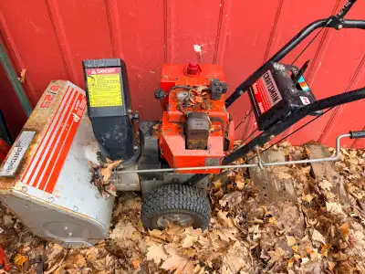 FREE Snowblower - needs repairs, View more