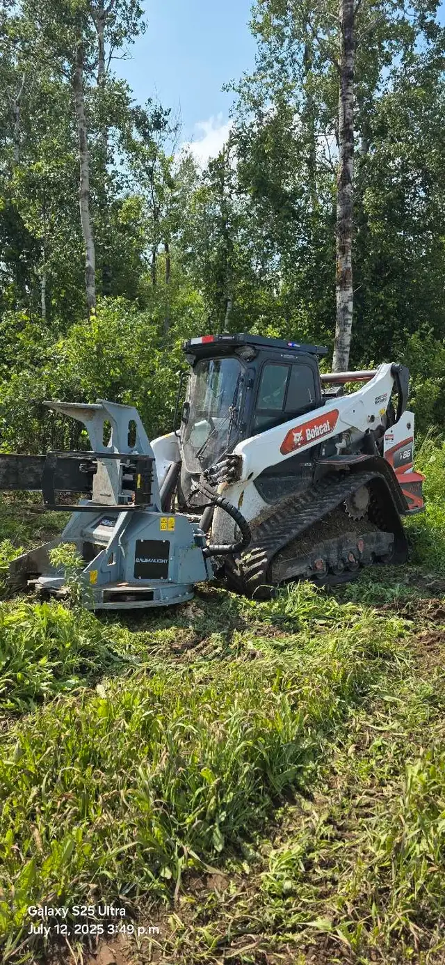 looking for timber - land clean up - mulching ect! 63882165435651123