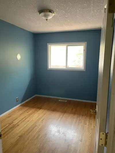 looking for mature female roomate, cleaner, bb sitting