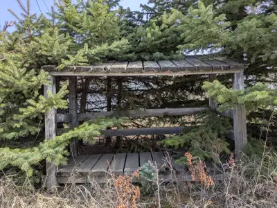 Wooden stand originally for garbage cans, View more