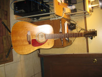 Norman 12 strings model B20