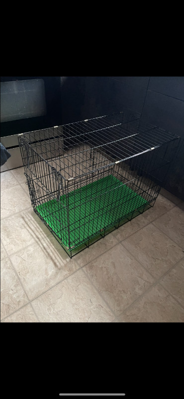 cage de chien a 2 portes dans Accessoires  à Longueuil/Rive Sud - Image 3