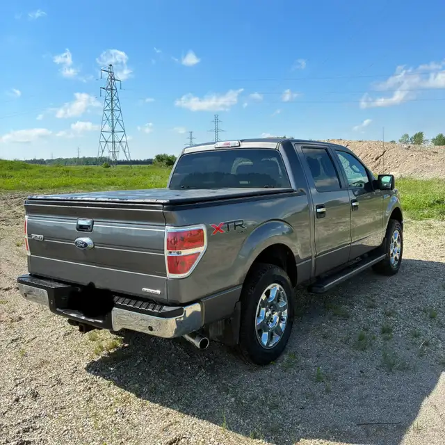 2014 Ford-F150539353843447910401