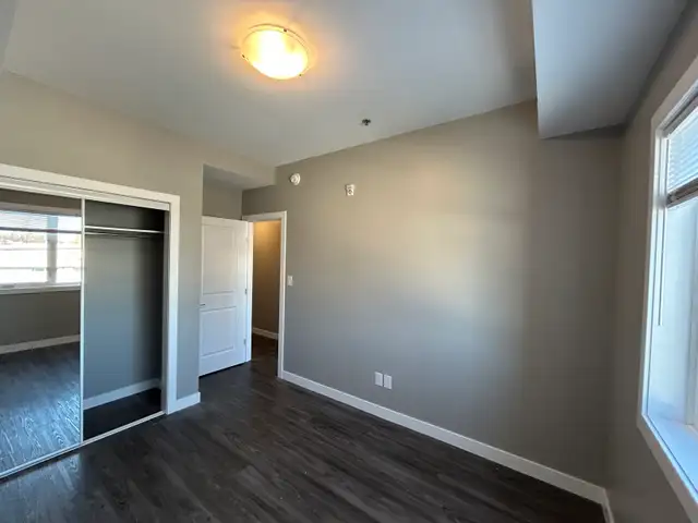 Painter Taper 65619850675457120