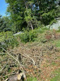 Junk removal & deck/shed demolition call/text+1 902-912-2236  in Other in City of Halifax - Image 3