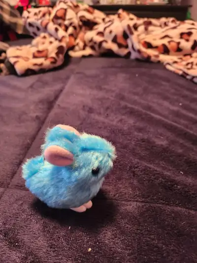 Blue Rabbit Cat toy, View more