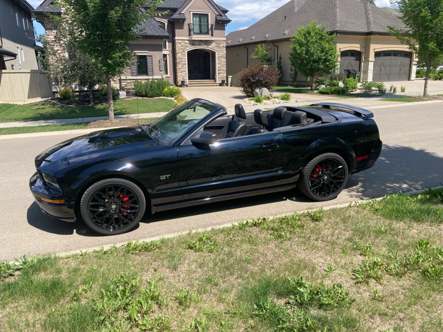 Mustang GT convertible less than 50km in Cars & Trucks in Edmonton - Image 2