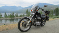 1984 Yamaha Virago for sale