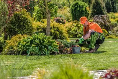 Seeking a professional gardener to work on garden beds, property to look nice and presentable. Impro...