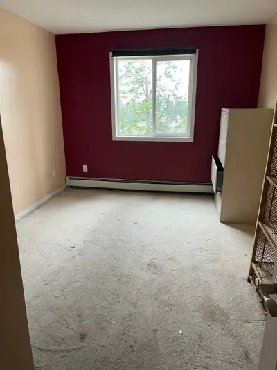 Female roommate needed close to all amenities, clean unfinished room in two bedroom condo.