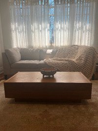 Walnut coffee table with large storage on both sides.