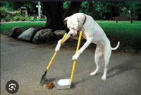 Offering dog poop clean up