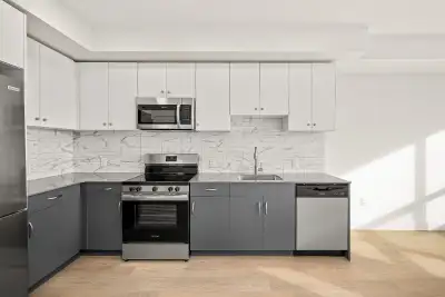 Step into brand-new 1-bedroom homes at 500 Asher! These suites are perfect for professionals or coup...