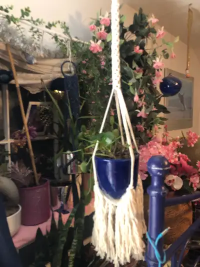 Macrame Plant Hanger. Brand New. Multiples. Breast Cancer Fundraiser. These are brand new. They hold...