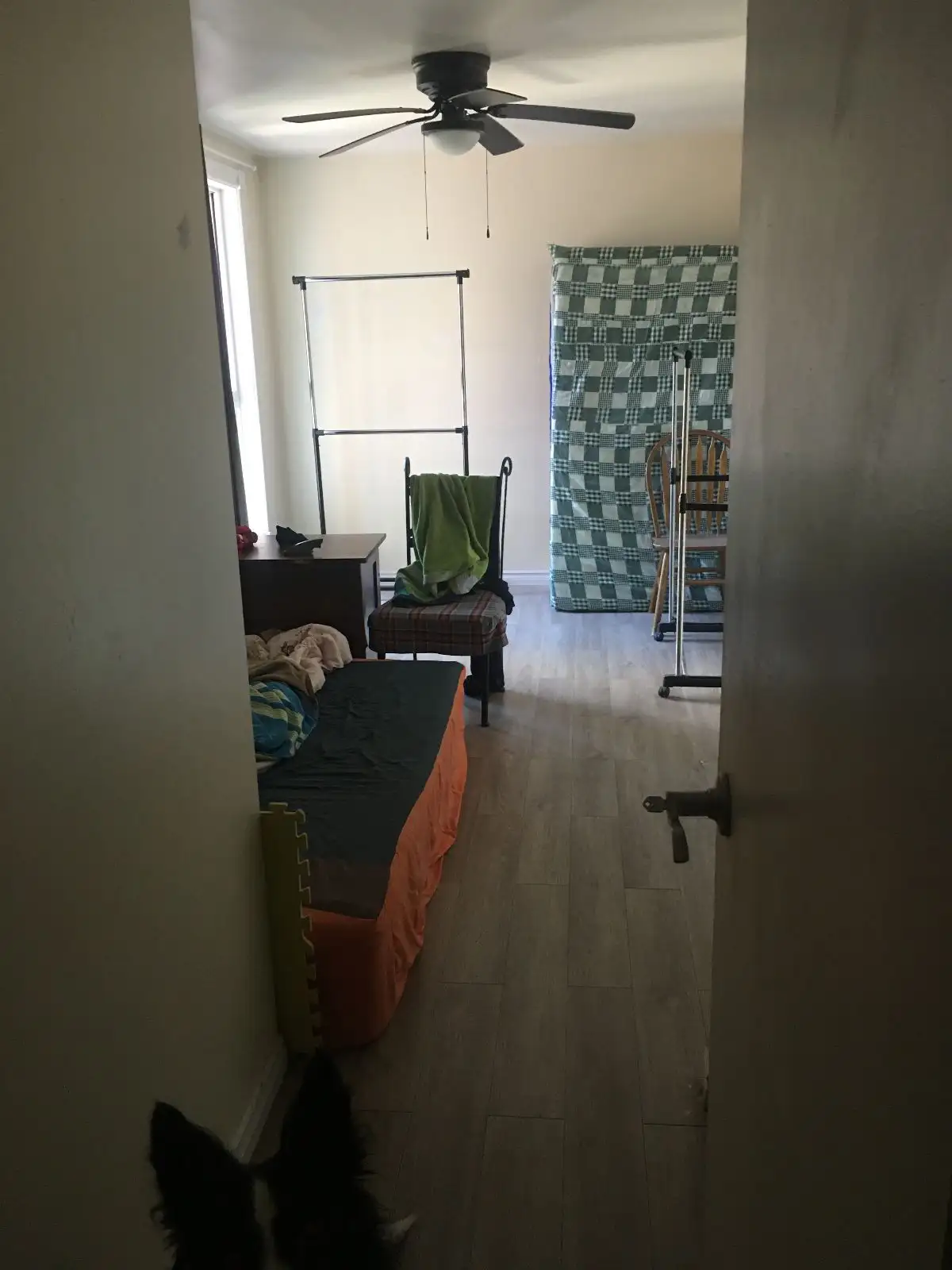 pictures of the unit