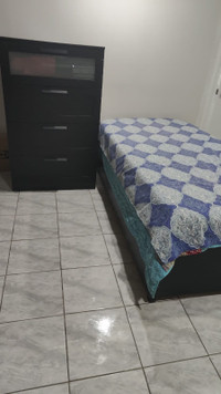 Basement room available from May 1st near Albion Mall
