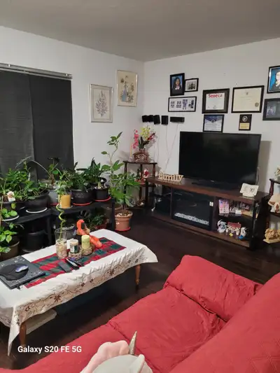 Private furnished room and affordable.