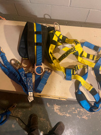 Harness for sale