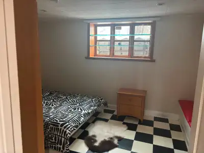 chambre à louer