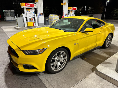 2015 Ford Mustang GT 5.0 50th anniversary edition 