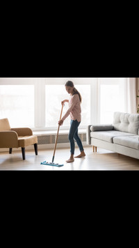 Cleaning lady - femme de ménage