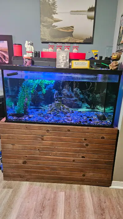 Glass Aquarium, View more