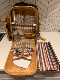 Picnic Backpack for ONLY 20$