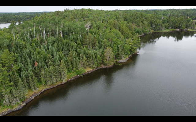 Parcel D.181 - Approx 1 mile of shoreline and 45 Acres of land! in Land for Sale in Kenora