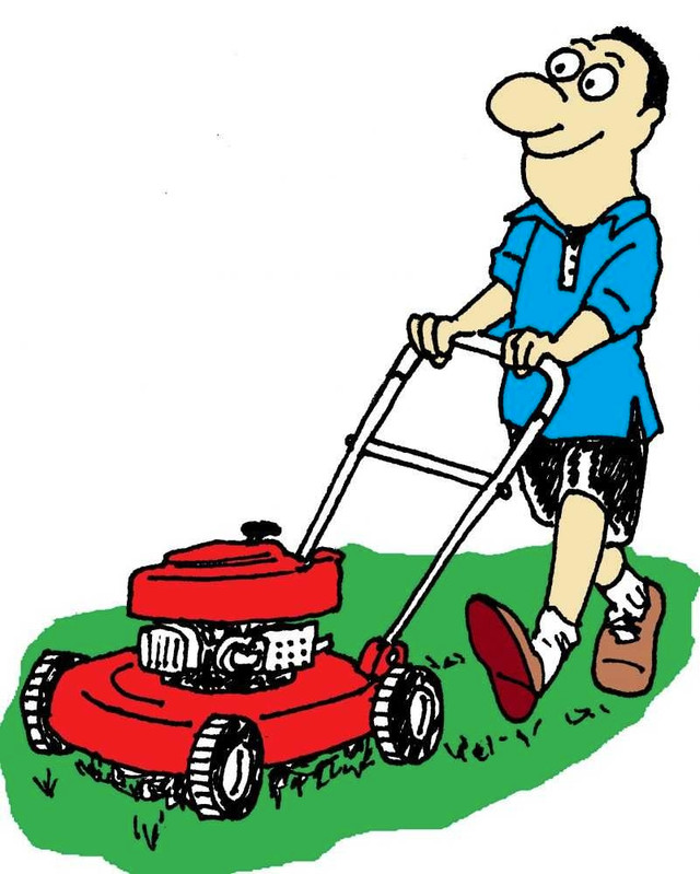 Call Mike- Lawn care /property service  in Lawn, Tree Maintenance & Eavestrough in Edmonton