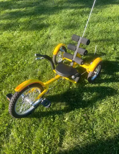 Mobo Mobito Adaptive Trikes, View more