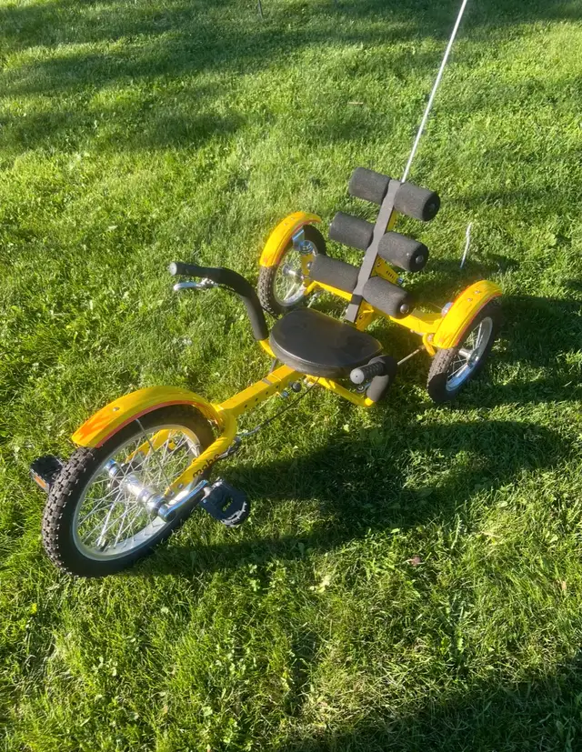 Mobo Mobito Adaptive Trikes in Kids in Brockville - Image 2