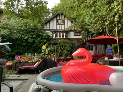 Revived English Tudor Home on huge private lot surrounded by high fencing, overgrown shrubs, trees a...