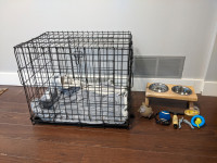 Dog Crate and Accessories