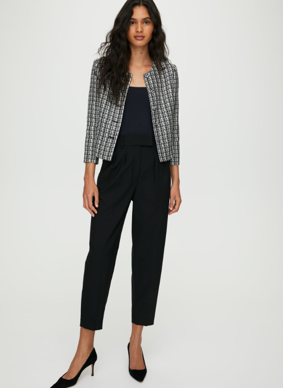 Aritzia Babaton Blazer in Women's - Tops & Outerwear in City of Toronto