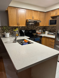 Cabinet and granite countertop 