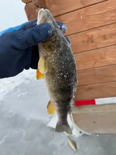 Best Ice Fishing Huts in Toronto, View more