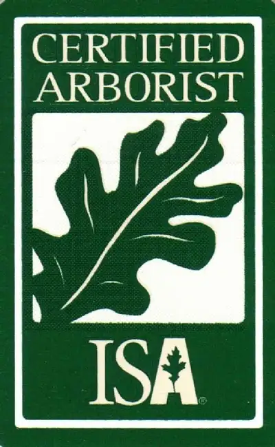 20% Off ISA Certified Arborists. Free Quotes. Insured., View more