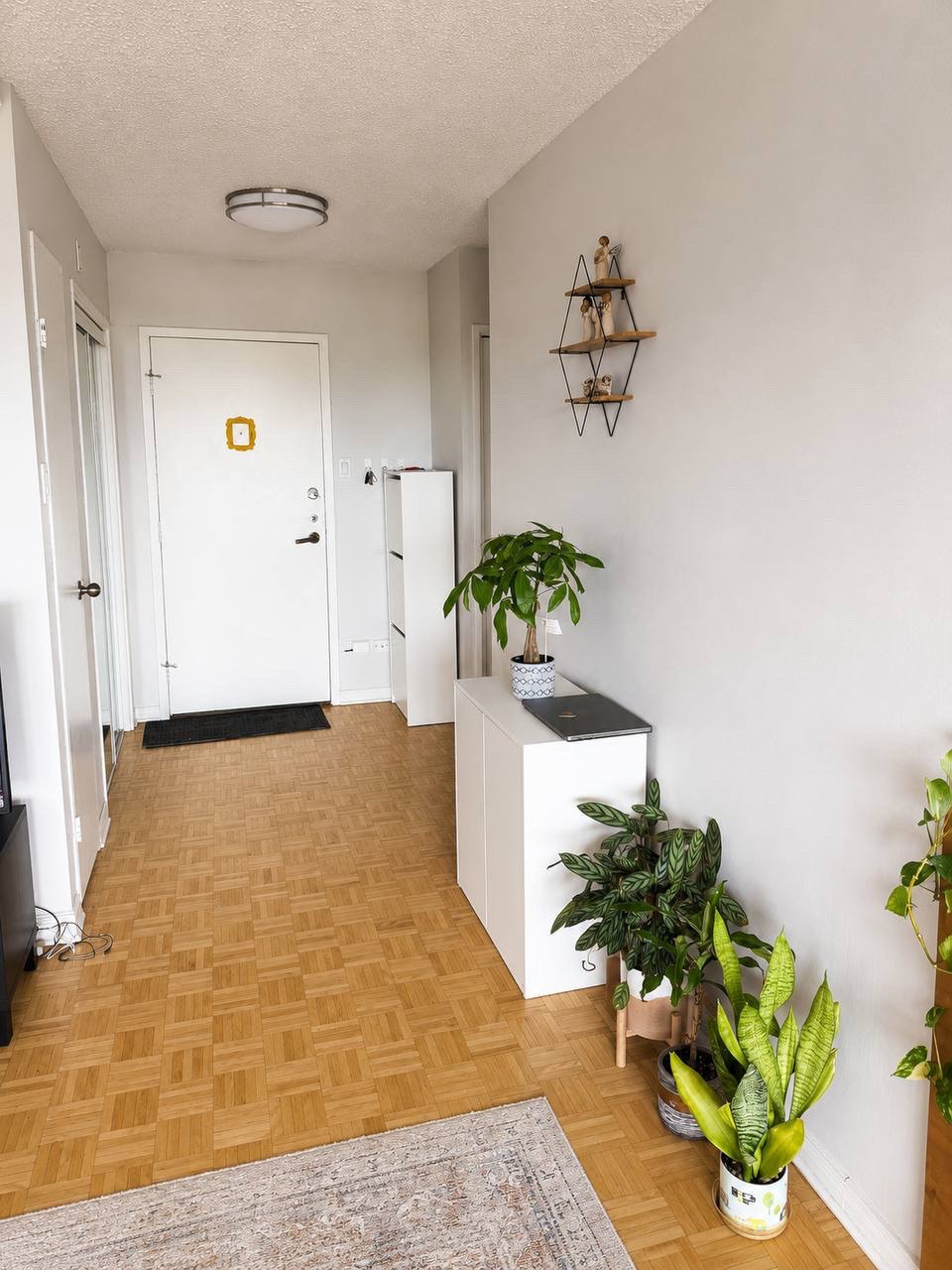 3488 Ch de la Côte-des-Neiges — photo 3
