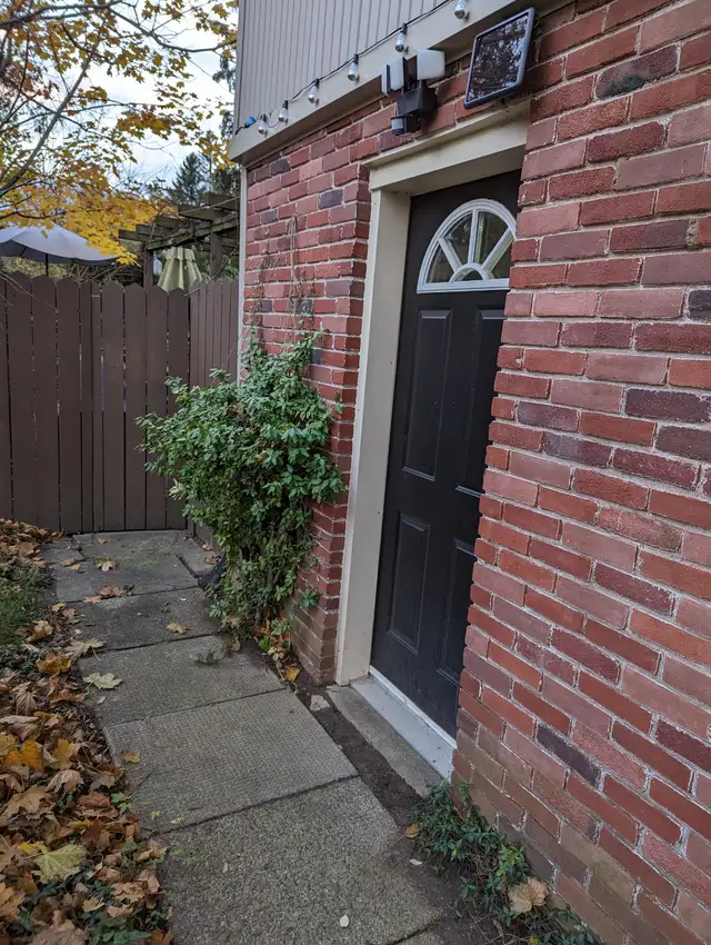 APARTMENT FOR RENT COZY BASEMENT SUITE $1390.00