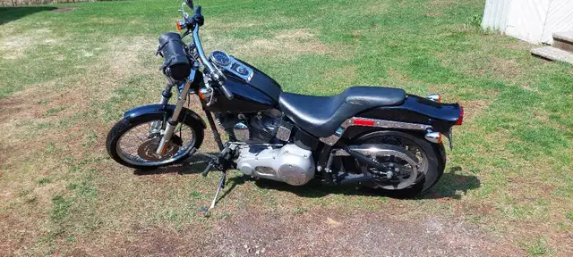 2005 fxst softail standard.price reduced,must go.screaming deal. in Street, Cruisers & Choppers in Gatineau - Image 2