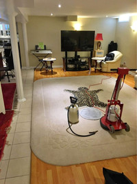 The Home Carpet Rug And Sofa Cleaner