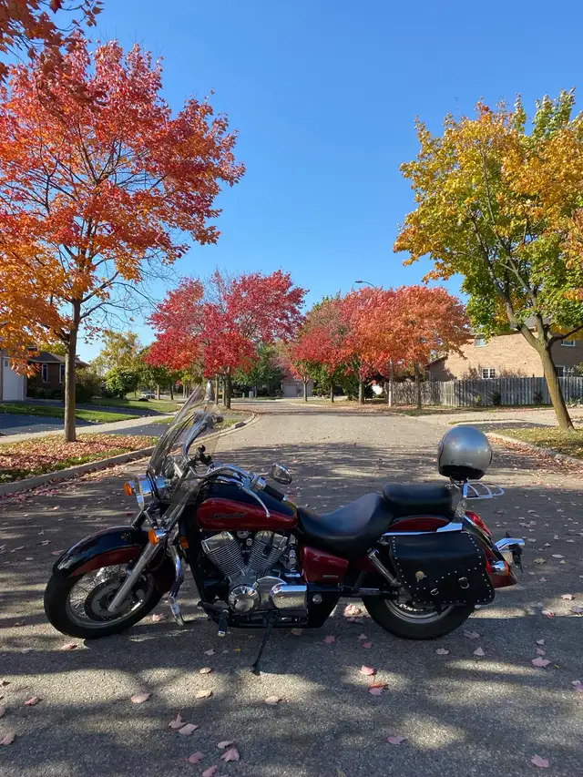 2005 Honda Shadow Aero in Street, Cruisers & Choppers in Mississauga / Peel Region - Image 3