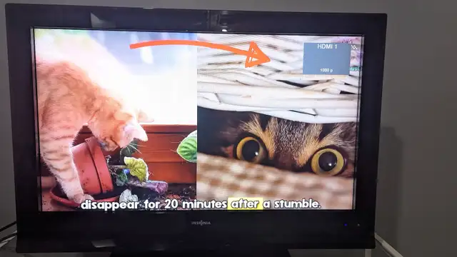 32" Insginia LCD 1080p HDTV (not Smart TV) in TVs in Ottawa - Image 3