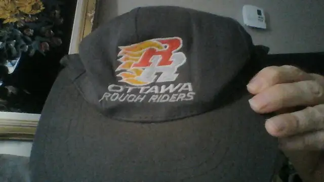 X-files-youth/adult books$5e Dvdss$10eSens$49Trade4 iphoneX/mini in Fiction in Ottawa - Image 9