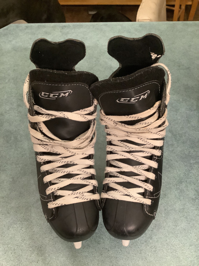 CCM Intruder skates size 7 in Skates & Blades in Ottawa - Image 3