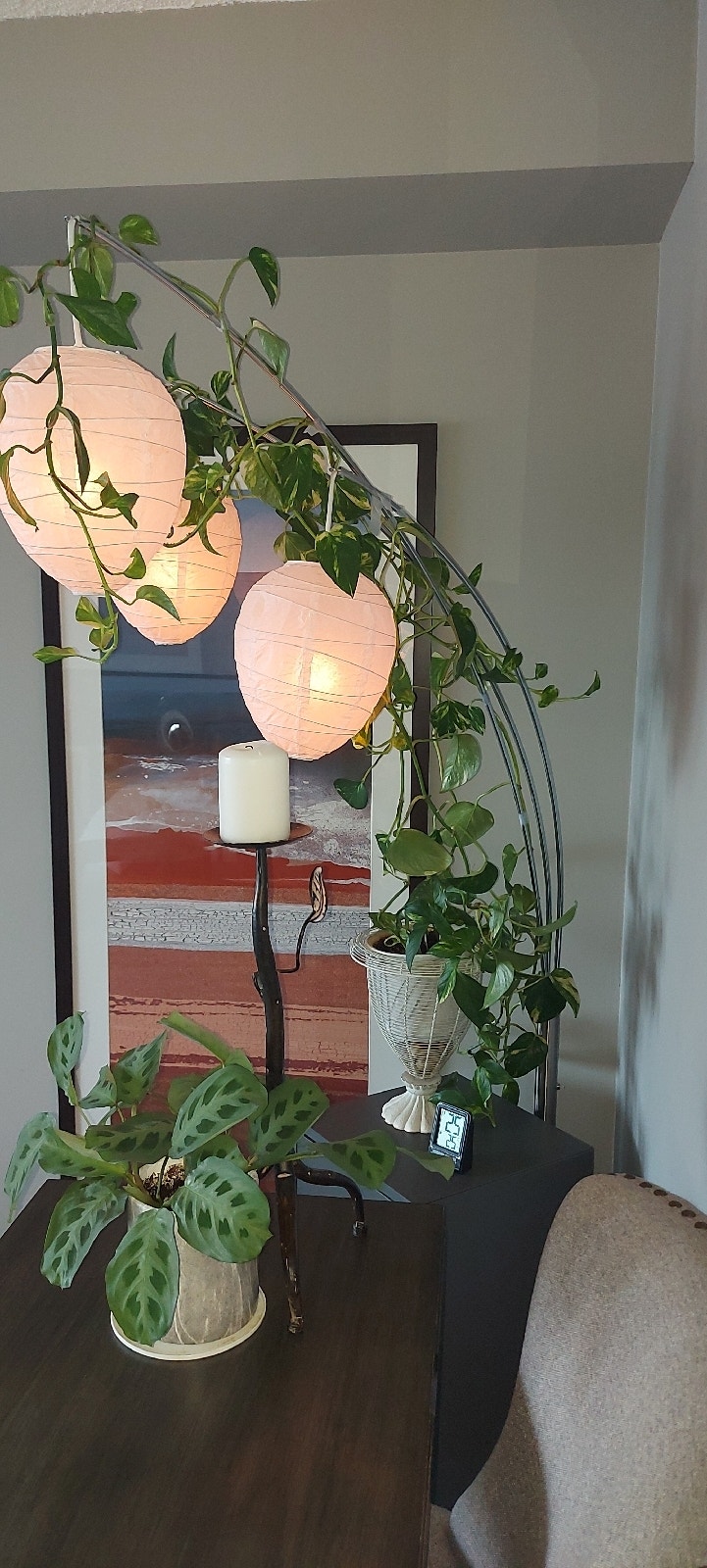 Plants need a good owner Home Décor & Accents Ottawa Kijiji